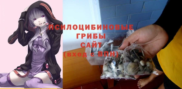 ALPHA-PVP Алексин