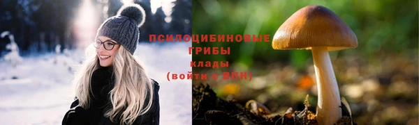 таблы Алзамай